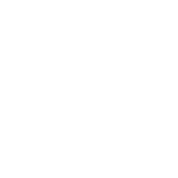 BYD logo