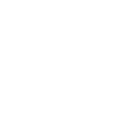 Chevrolet logo