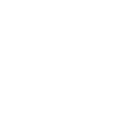 GWM logo
