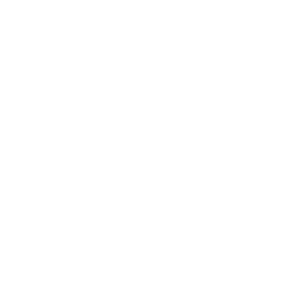 Hyundai logo