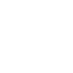 Mini logo