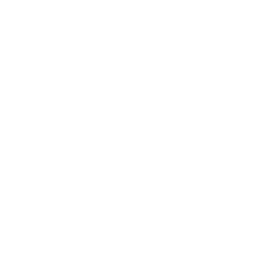 Suzuki logo