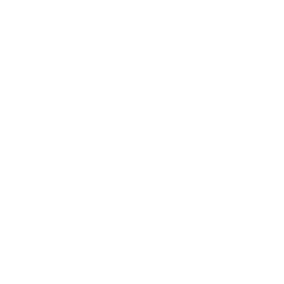 Toyota logo