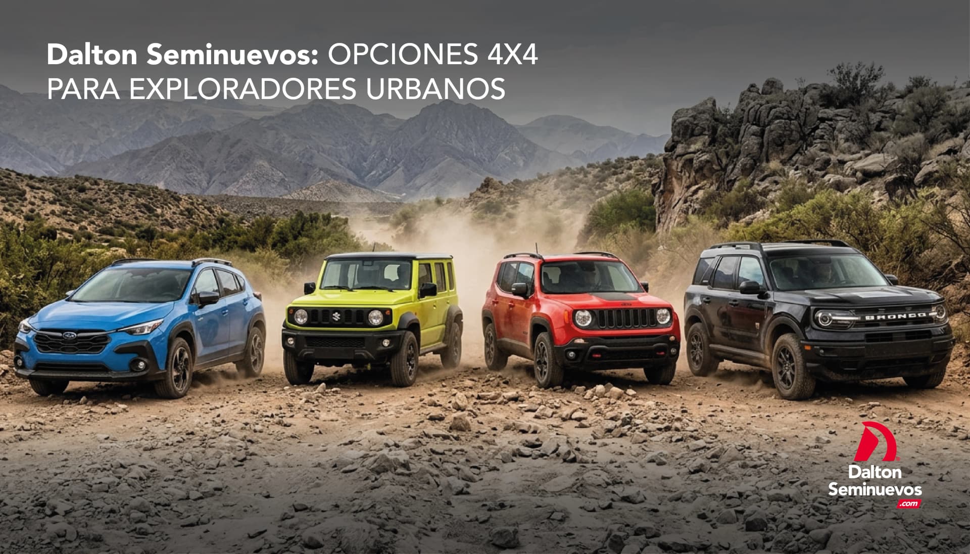 Dalton Seminuevos: opciones 4x4 para exploradores urbanos