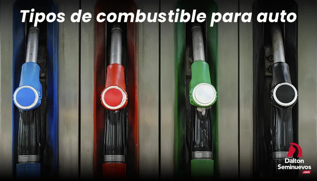 Tipo de combustible para auto