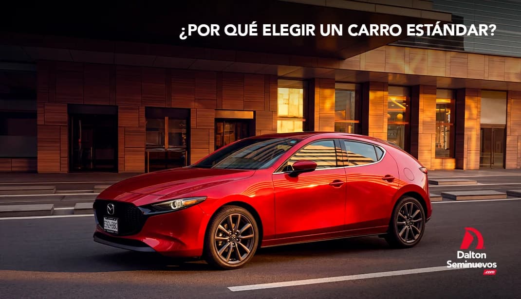 ¿Por qué elegir un carro estándar?
