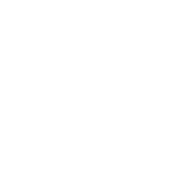 Audi logo