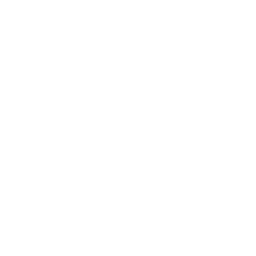 Ford logo