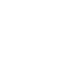MG logo