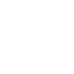 Renault logo