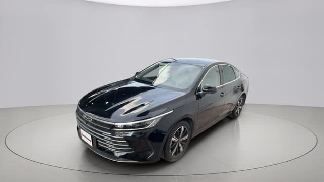 Byd King 2025 | 91877