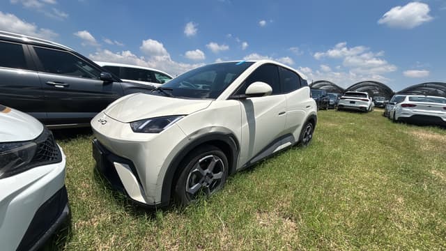Byd Dolphin 2025 | 92484